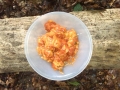 IMG-20140713-WA0000