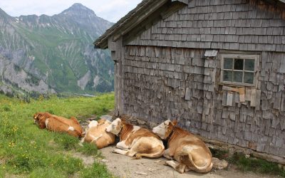 Hauslager 2016 Montag